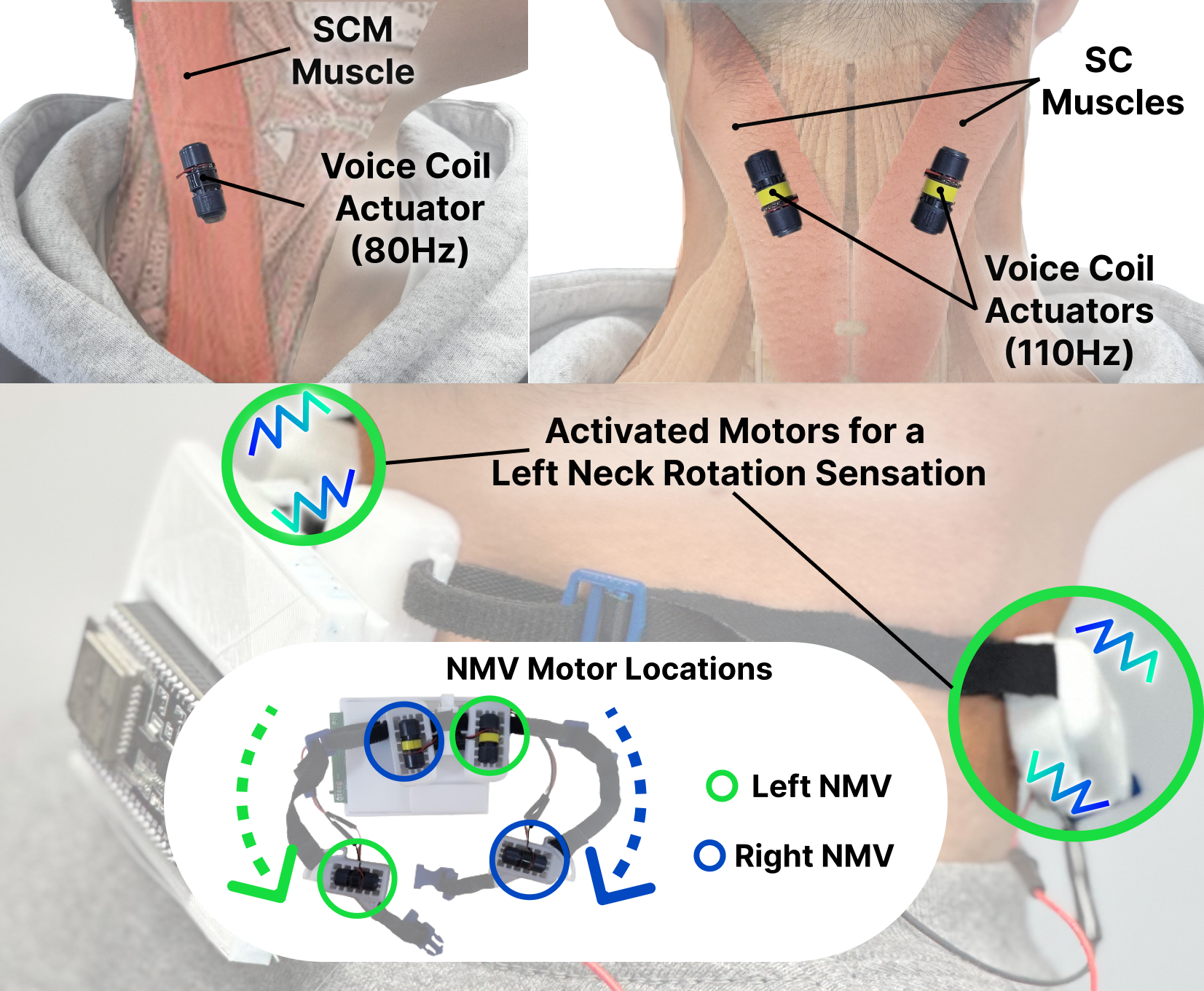 NMV motor placement